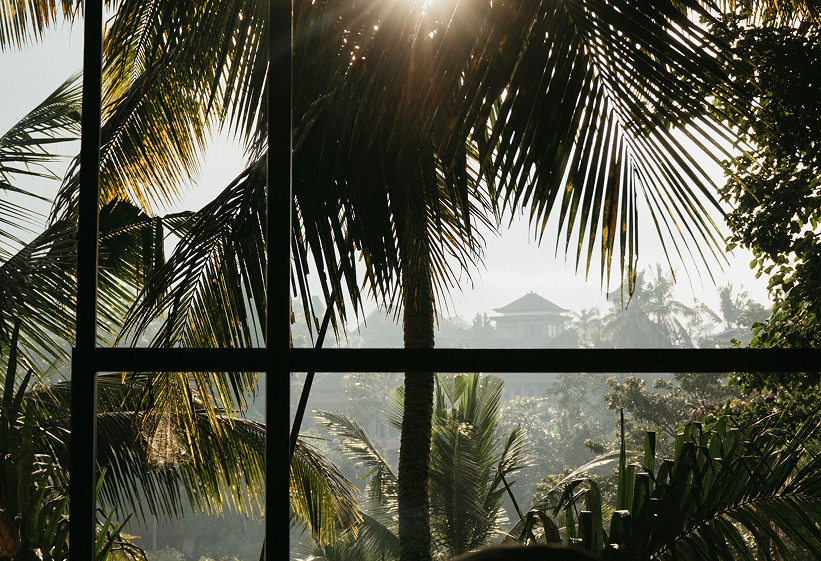 Investir à Bali dans une villa de luxe : un marché en plein essor, rentable et porteur de sens. Découvrez notre approche unique et responsable.